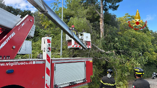 Grottammare - Ramo pericolante in via Firenze: intervento dei vigili del fuoco